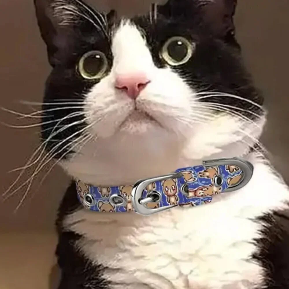 Adorable Handmade Teddy Bear Cat Small Dog Collar Blue Chihuahua Kitty